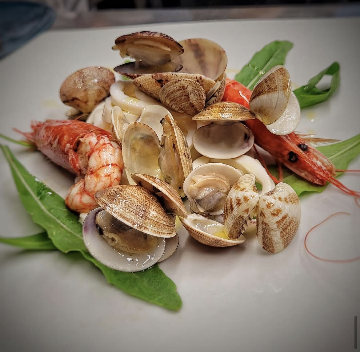 Frutti di Mare Freschi